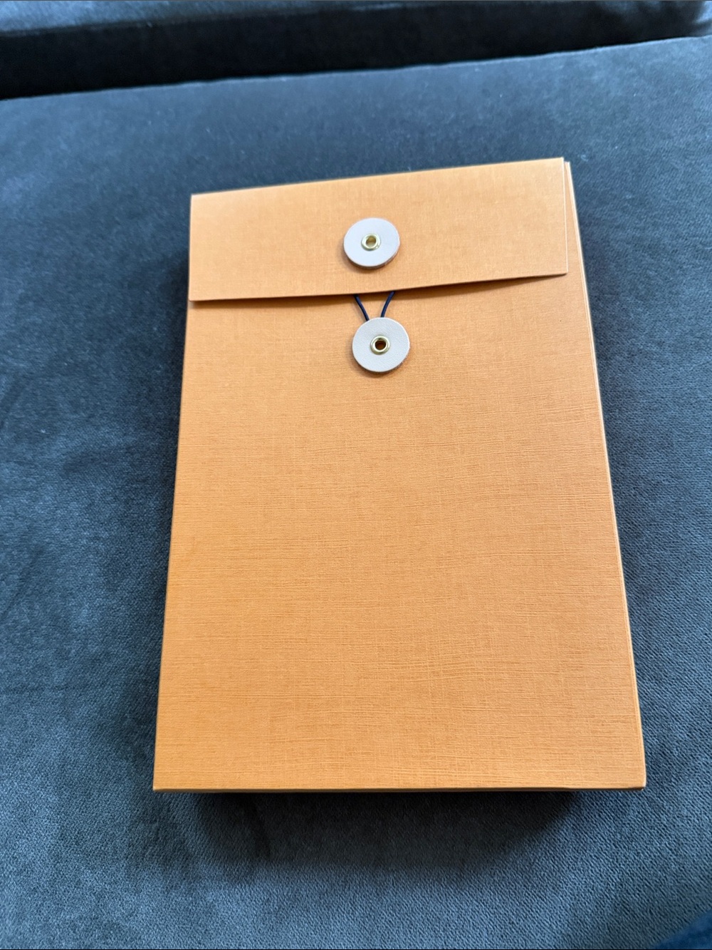 Louis Vuitton Tan Box with Navy Lettering - Picture 3 of 3